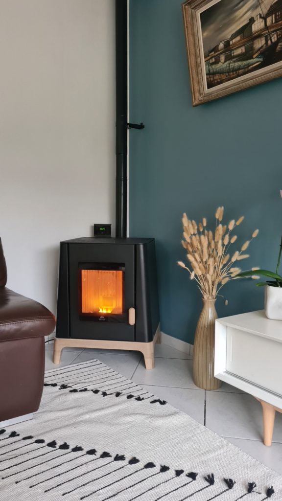 L&240.JPG039;Echo Du Feu Installateur Poele A Bois Echo Du Feu Poêle Lotetgaronne11 240